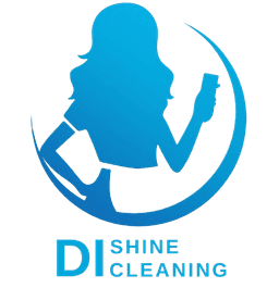 Di Shine Cleaning Logo