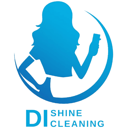 Di Shine Cleaning Logo